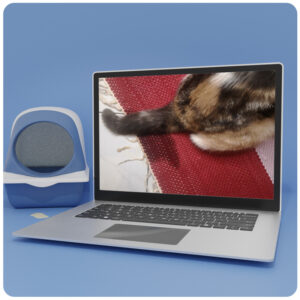 Laptop mit Katzen-Katzenklo-Mockup zeigt Videokurs Unsauberkeit bei Katzen
