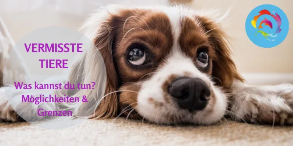 Vermisste Tiere Spezial Online Kurs mit Andrea Schädel