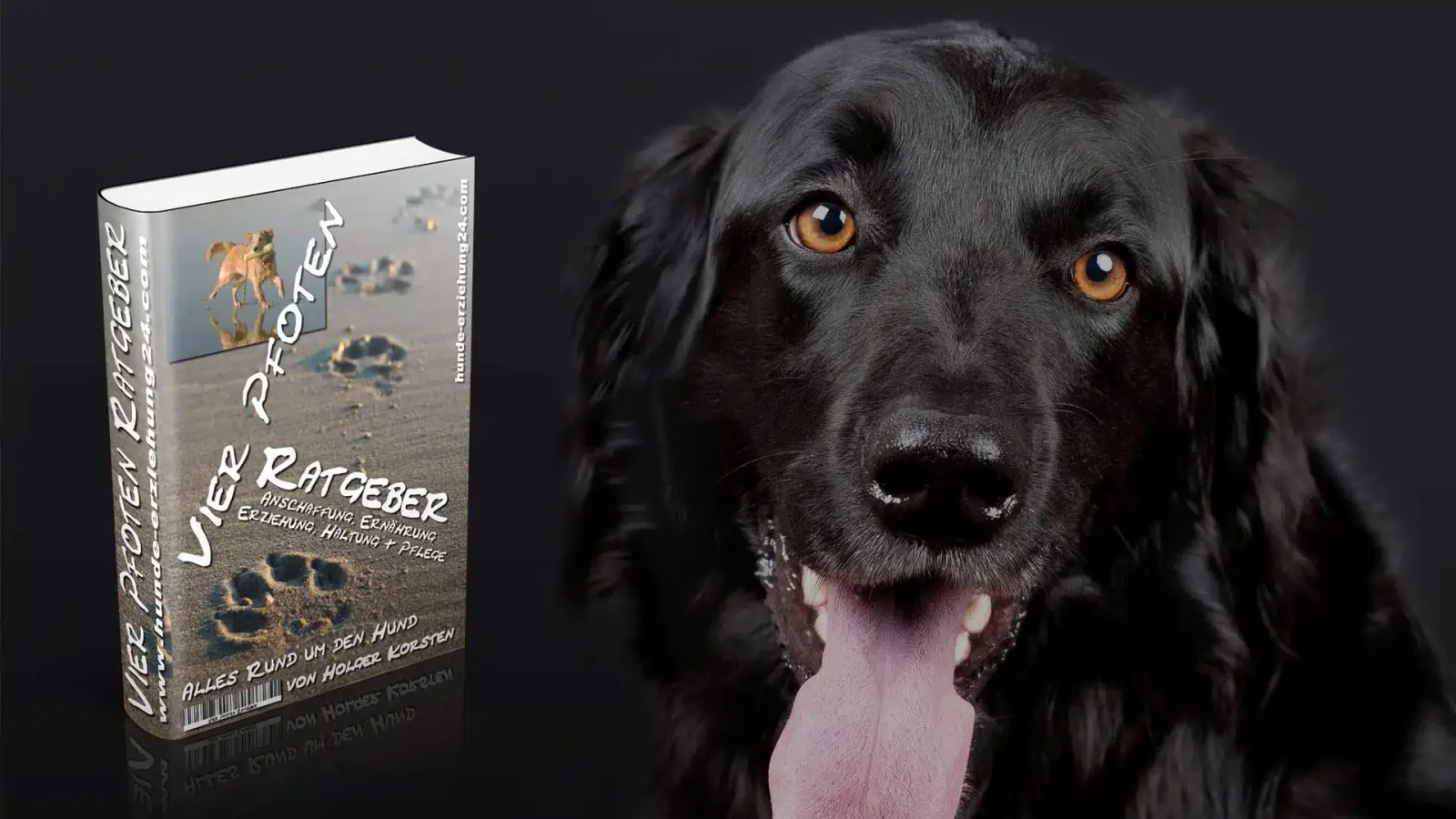 Vier Pfoten Ratgeber Hundeerziehung Buchcover neben Portrait eines schwarzen Hundes mit braunen Augen