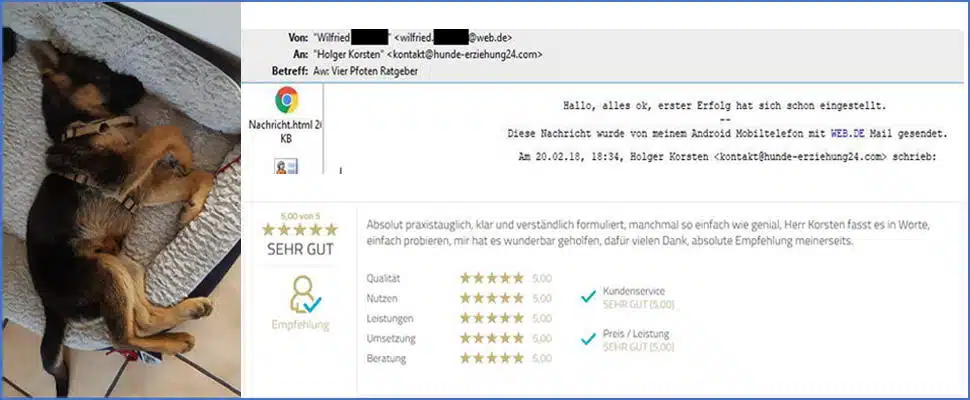 Kundenbewertung mit Foto eines braunen Hundes, detailliertes Testimonial mit 5 Sternen für Hunde-Erziehung24.com