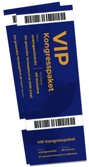 VIP Kongresspaket Ticket Mockup mit Barcodes und Informationen auf dunkelbau
