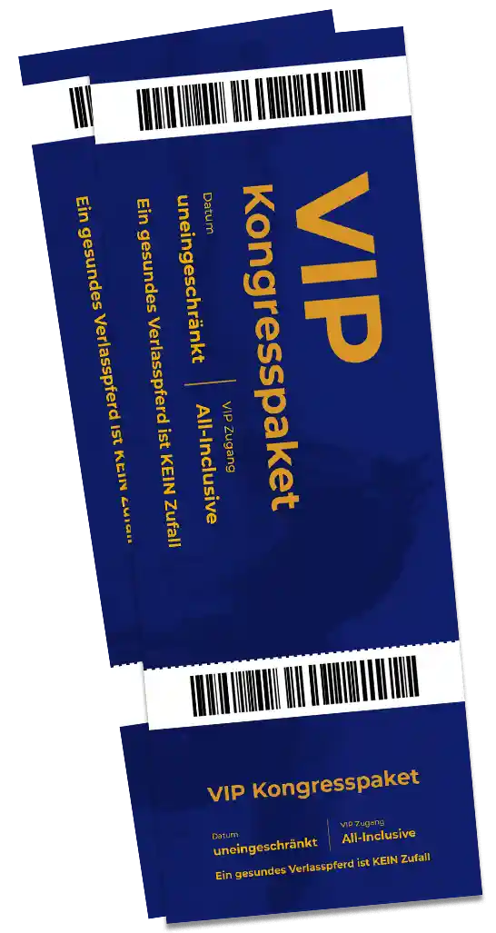 VIP Kongresspaket Ticket Mockup mit Barcodes und Informationen auf dunkelbau