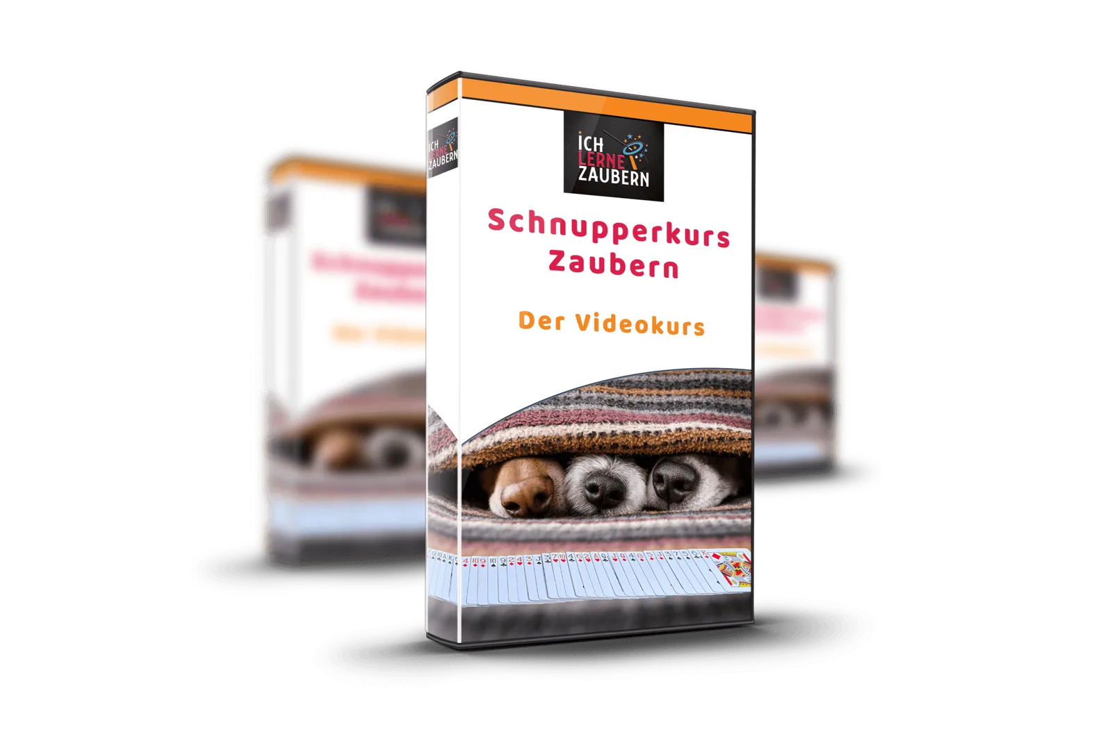 Schnupperkurs Zaubern Videokurs 3D-Box mit verstecktem Hund unter Decke