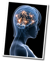 Gehirn mit leuchtenden Neuronen in Profilansicht eines Kopfes, powerbrain Symbol