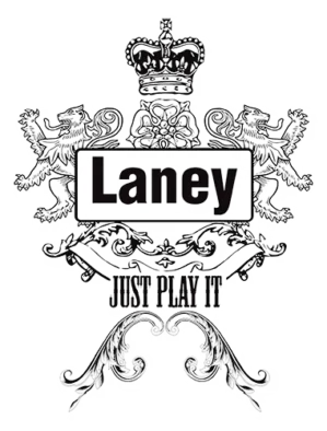 Schwarzer Gitarrenverstärker Laney für E-Gitarren-Anfänger