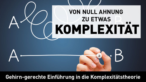 Videokurs-Hero von Vera F. Birkenbihl: Von Null Ahnung zu etwas Komplexität – Gehirn-gerechte Einführung in die Komplexitätst