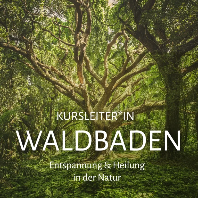 Waldbaden und Naturtherapie – Online-Ausbildung