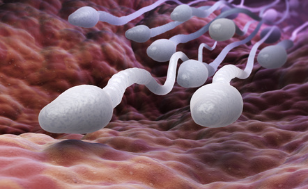 Wissenschaftliche Illustration Spermien Fertilitätskonzept