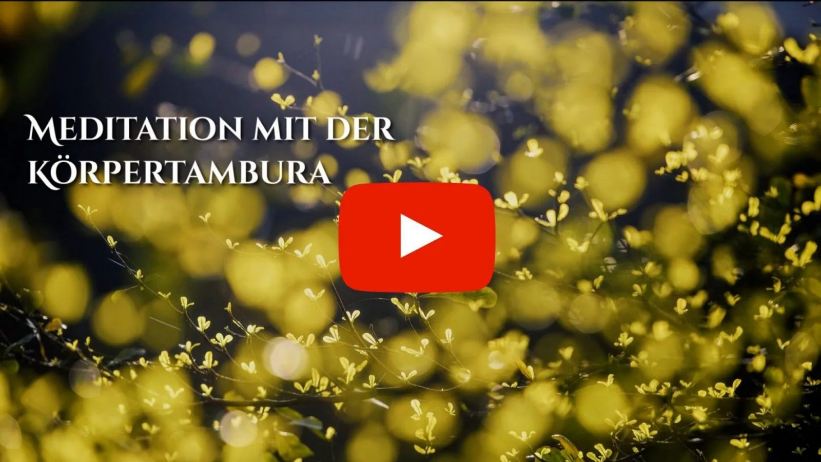 YouTube-Videostandbild mit gelbem Blütenfeld und Text Meditation mit der Körpertambura