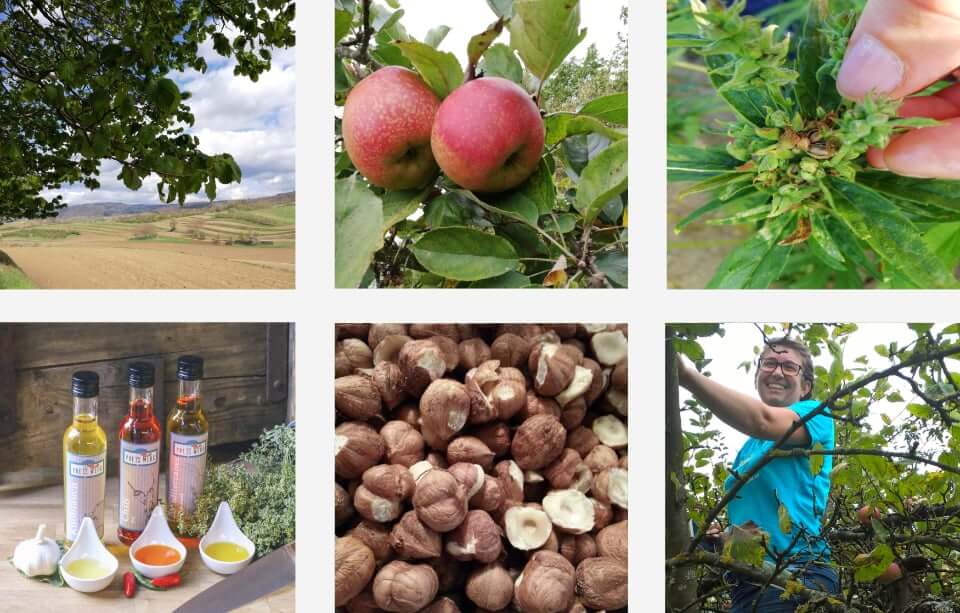 Galerie mit Bildern von Produkten: Landschaft, Äpfel, Kräuter, Öl, Nüsse