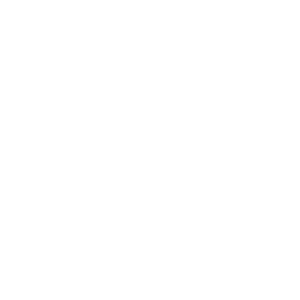 Platzhalter-Icon für Risikomanagement