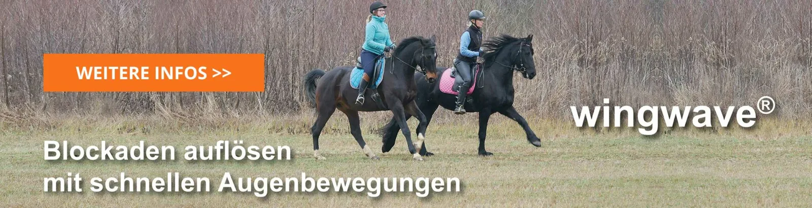 Banner mit Reitern zu Pferd und wingwave-Logo, Blockaden auflösen mit Augenbewegungen
