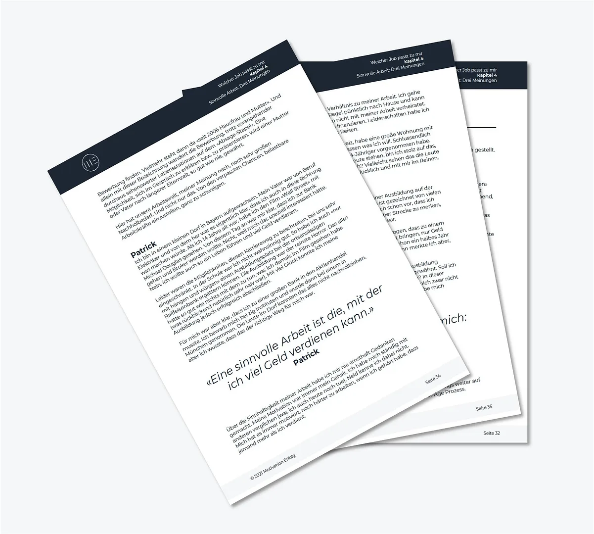 Aufgeschlagene Seiten aus dem E-Book Welcher Job passt zu mir mit Fallbeispielen und Zitaten zur sinnvollen Arbeit