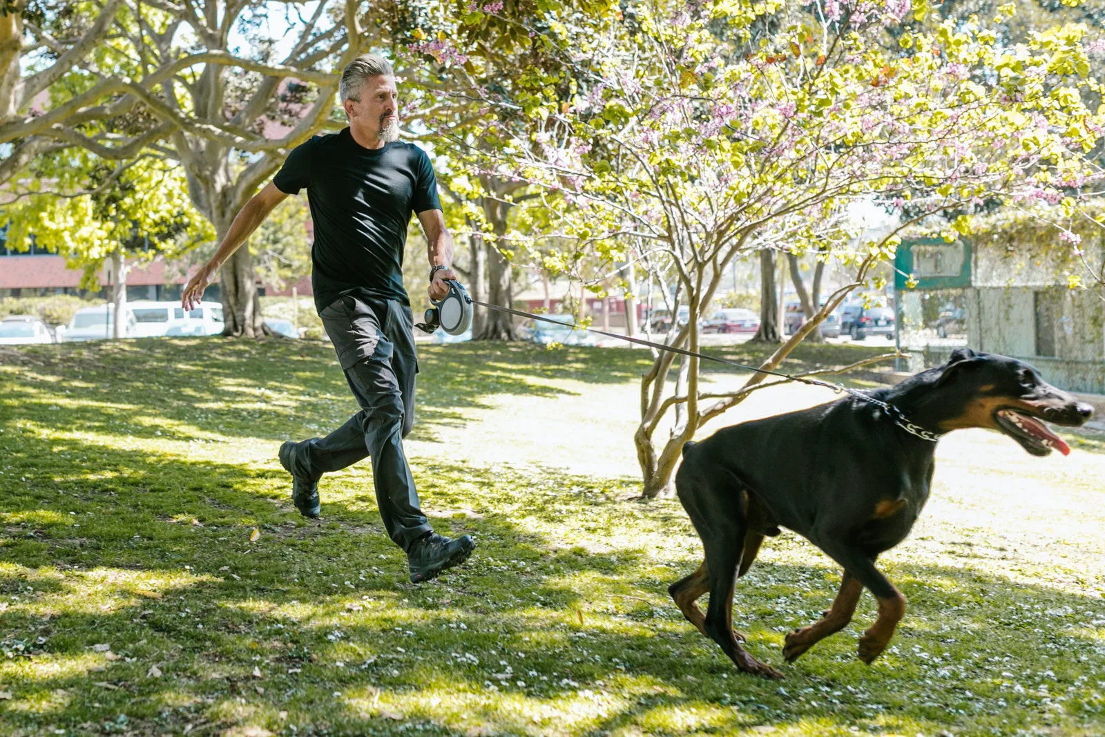 Mittelalter Mann in schwarzem Shirt läuft mit schwarzem Hund mit Leine durch Park mit Bäumen