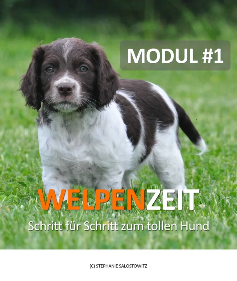 Welpenzeit – Schritt für Schritt zum tollen Hund von Stephanie Ruge