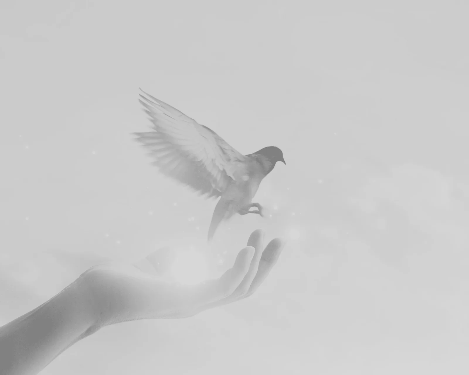 Hand lässt weiße Taube fliegen, symbolisiert Loslassen und innerer Frieden