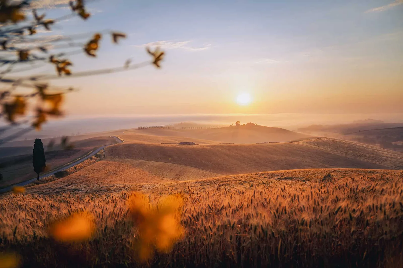 Sonnenaufgang über Toskana Landschaft mit Zypressen, Beispielfoto