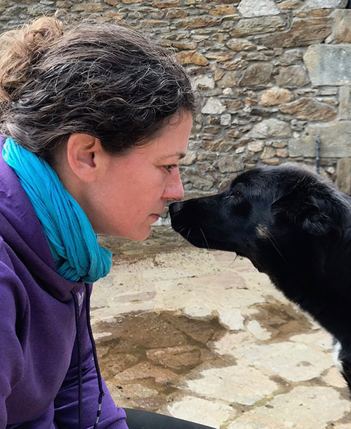 Frau führt Hundeverhaltensanalyse durch, schwarzer Hund schaut sie an, Steinmauer im Hintergrund