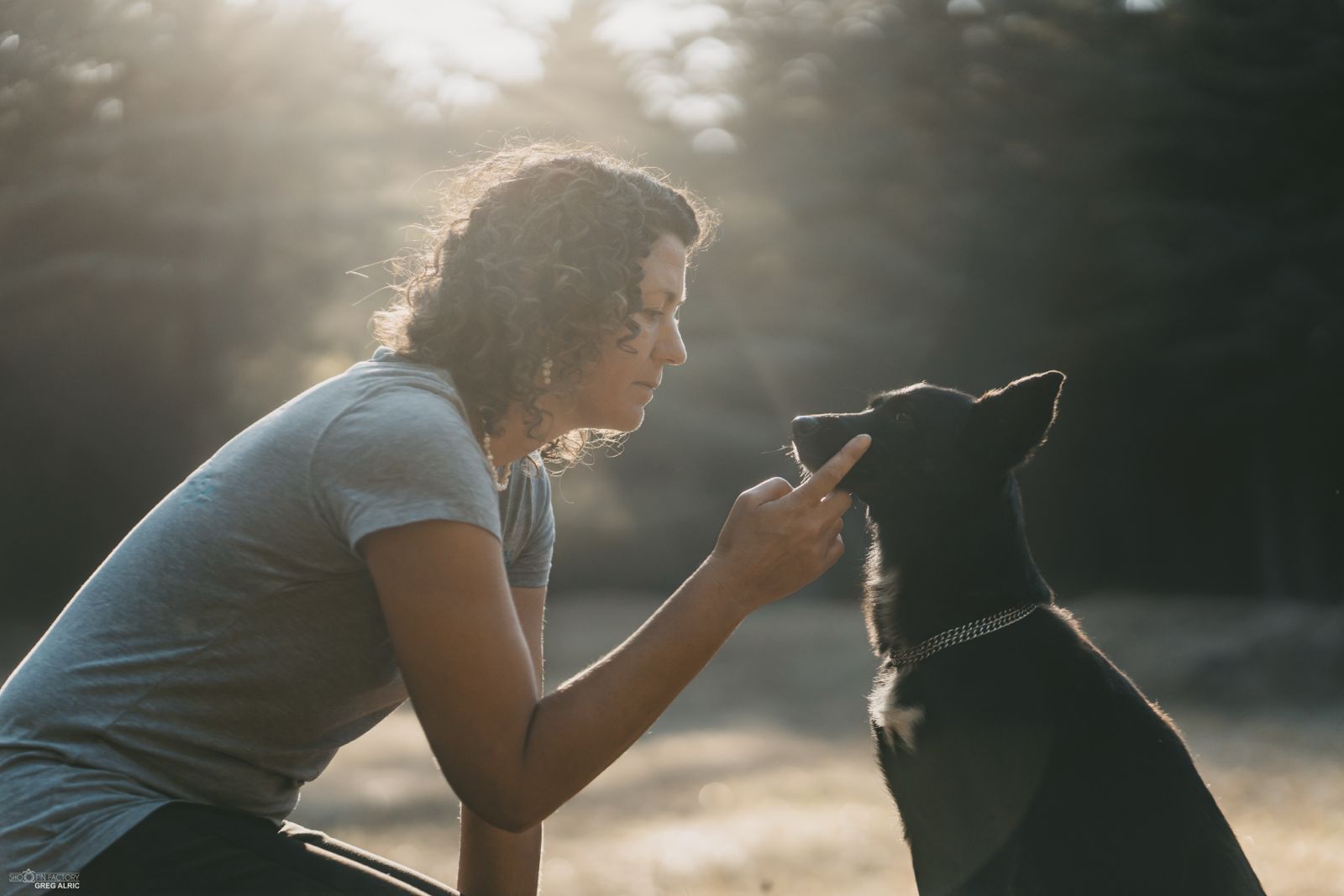 Frau trainiert schwarzen Hund in sonniger Waldlichtung, Wesenstest Hundetraining