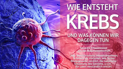 Krebszelle auf rosa-violettem Hintergrund mit Überschrift Wie entsteht Krebs