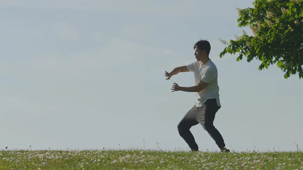 Person führt dynamische Kung Fu Bewegungsfolge auf Wiese mit Baum und klarem Himmel aus