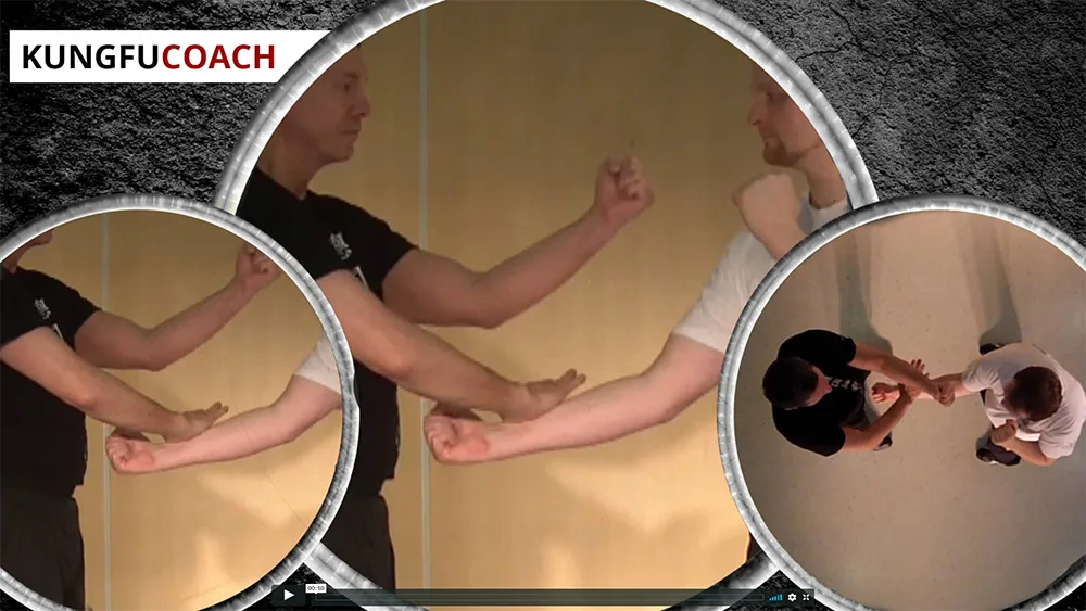 Kung Fu Coach zeigt Partnerübungen und Armtechniken im detaillierten Nahbereich