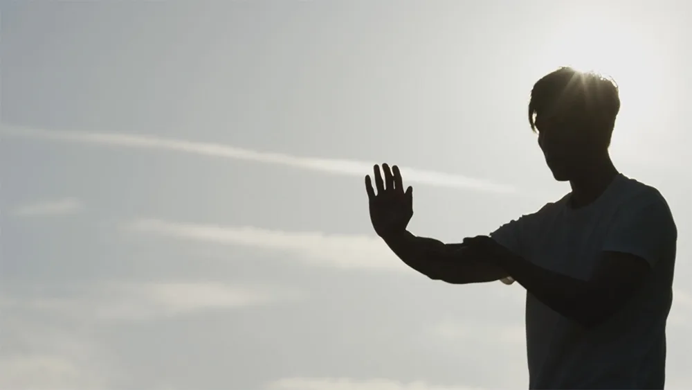 Silhouette eines Trainers in Wing Chun Handhaltung mit Handtechnik-Demonstration vor klarem Himmel