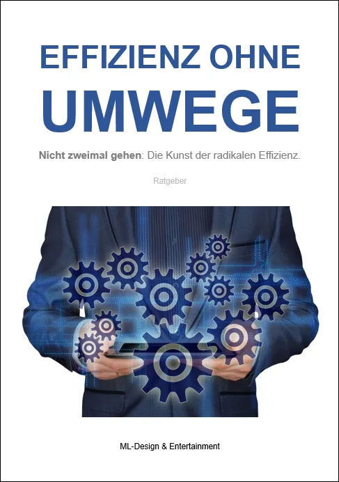 Buch-Cover 'Effizienz ohne Umwege' mit Zahnrad-Illustration und Geschäftsmann