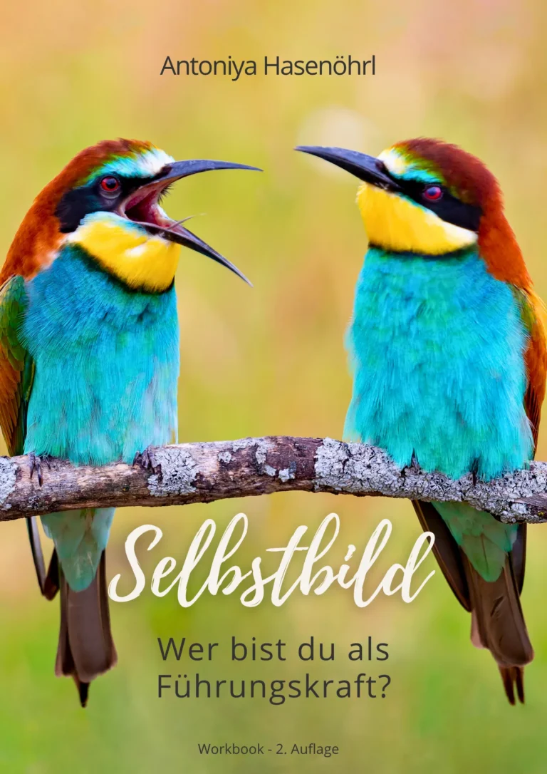 Workbook Selbstbild – Arbeitsbuch für Führungskräfte