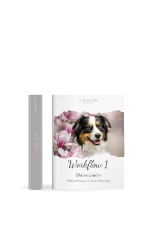 Produktabbildung: Workflow 1 Blütenzauber Buch mit grauem Schuber und Hund vor Blüten