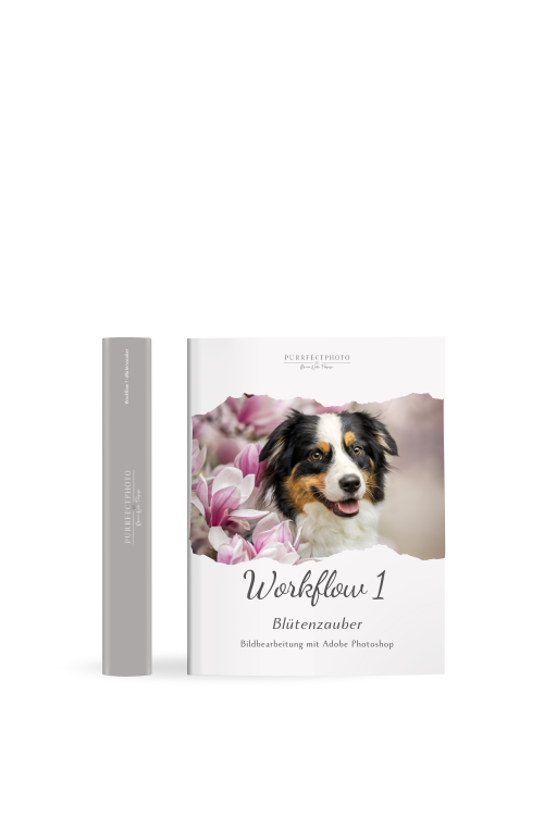 Produktabbildung: Workflow 1 Blütenzauber Buch mit grauem Schuber und Hund vor Blüten