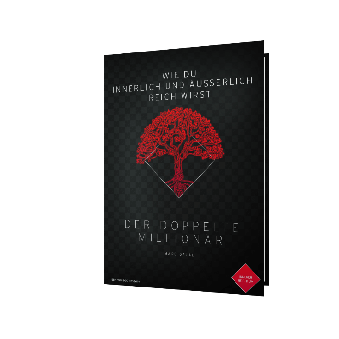 Buch: Der doppelte Millionär