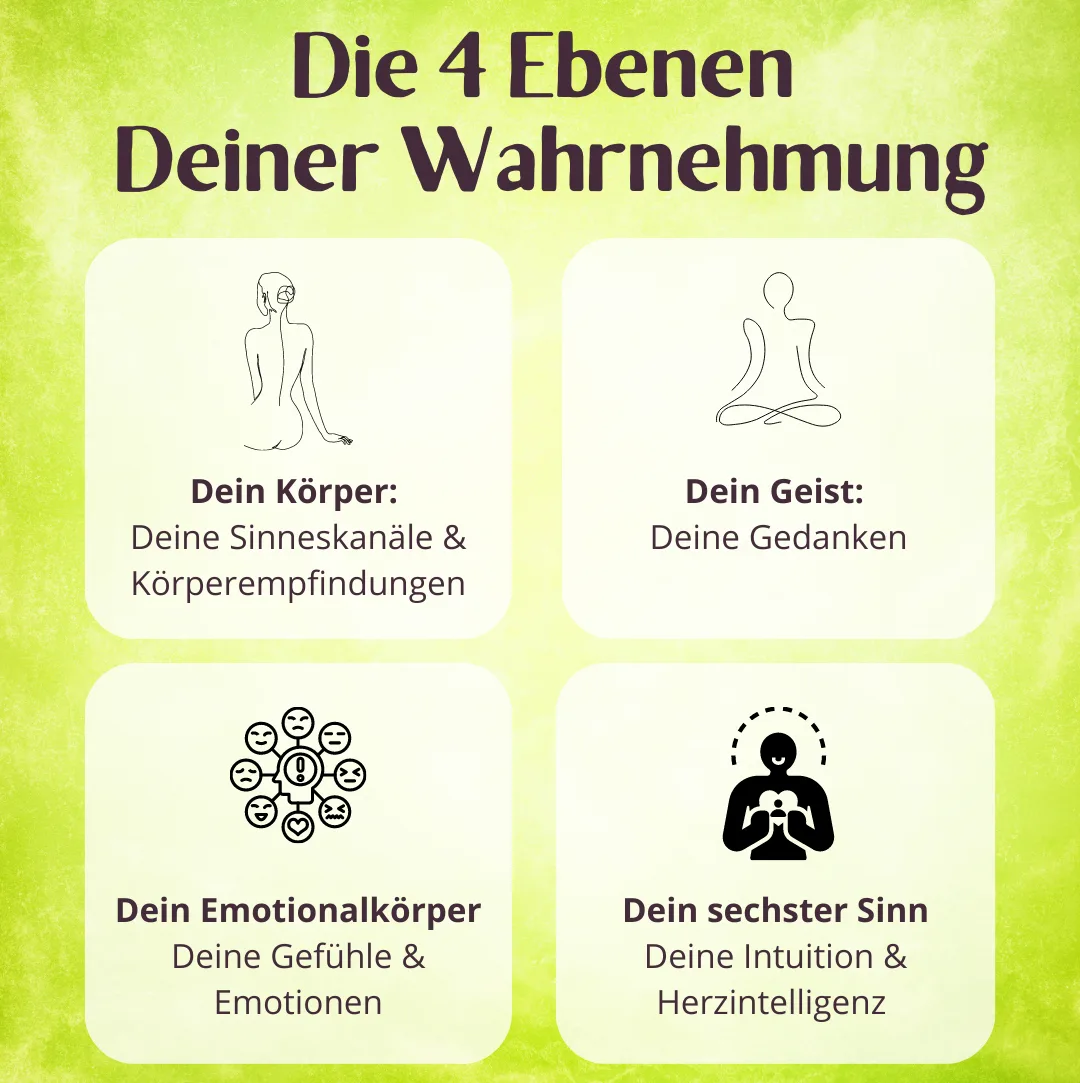 Die 4 Ebenen Deiner Wahrnehmung, Kurskonzept Zurück zu Dir