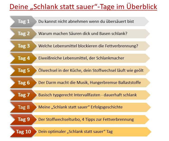 Grafik-Überblick über die Kursinhalte und Struktur des 10-Tage-Programms