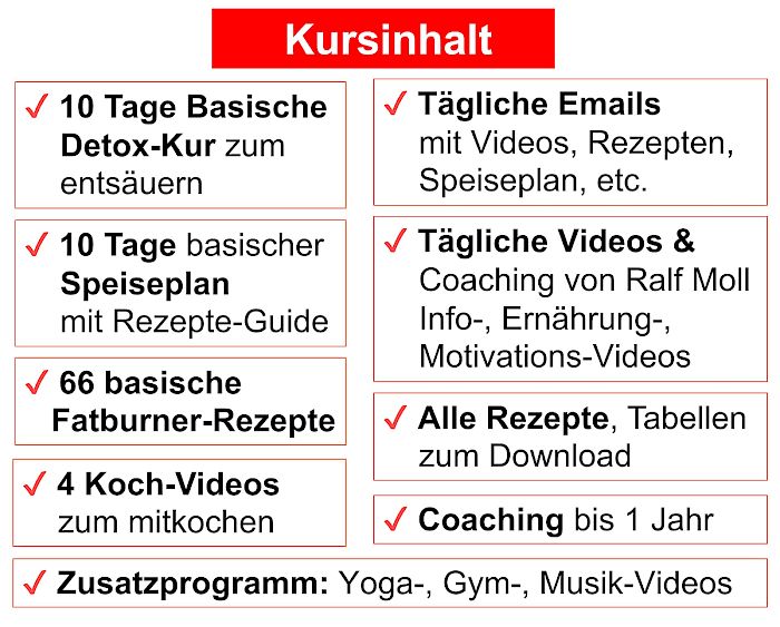 Kursinhalt Übersicht mit Detox-Kur, Speiseplan, Fatburner-Rezepte, Kochvideos, tägliche Emails und Coaching, mobile Version