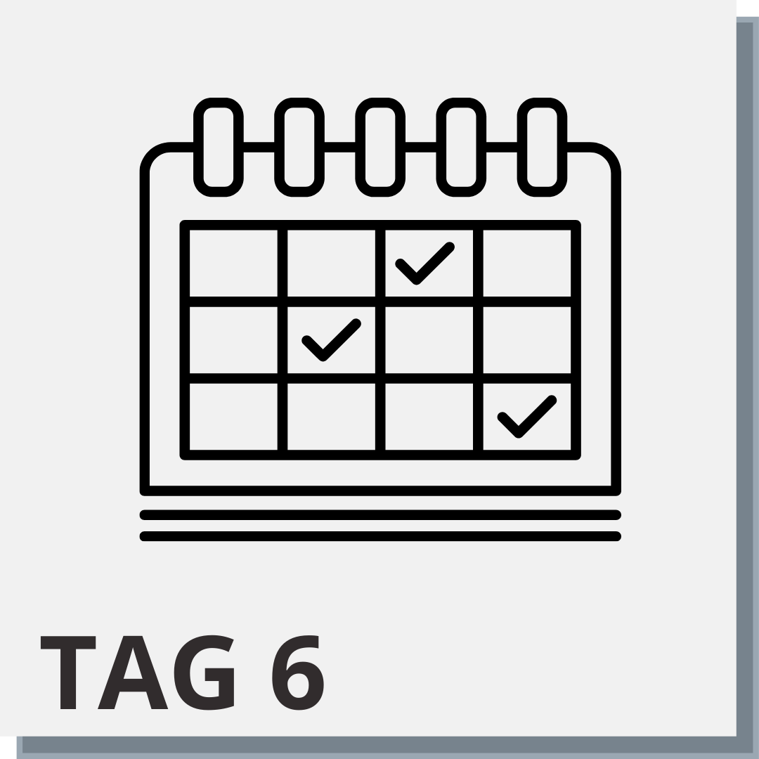 Tag 6 Icon: Kalender mit Häkchen symbolisiert Planung und Zeitmanagement