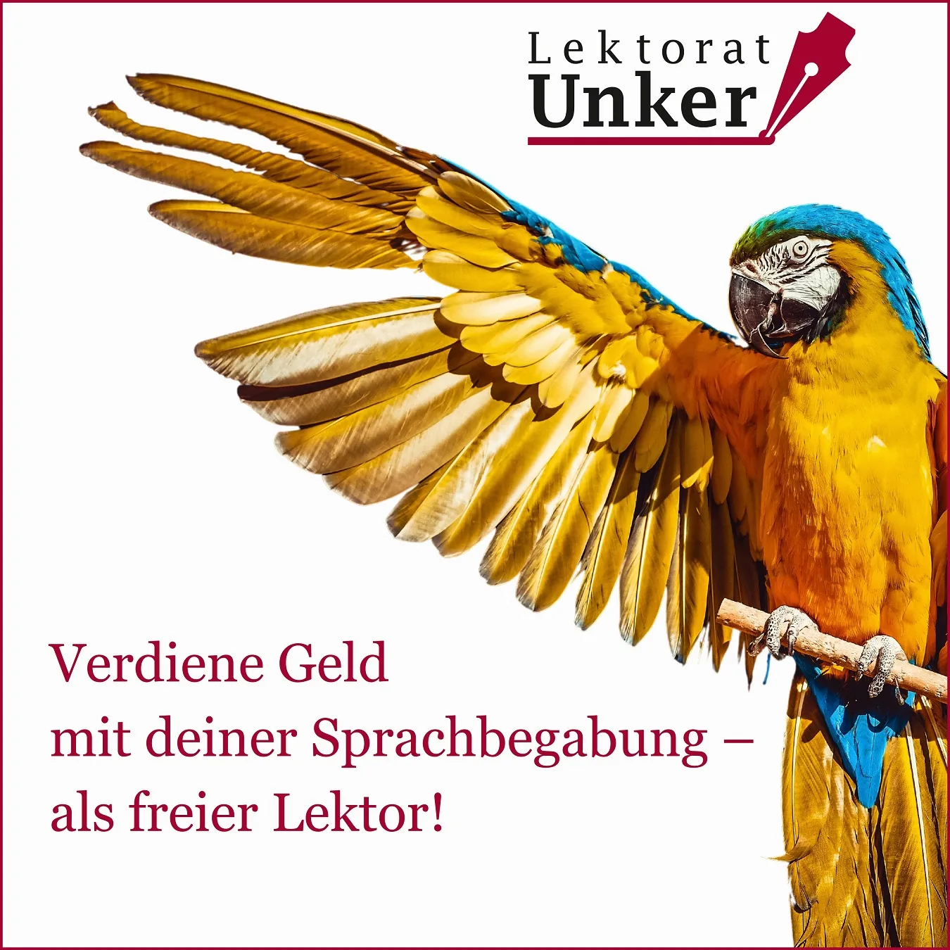 Bunter Ara mit ausgebreiteten Flügeln und Lektorat Unker Logo, Schriftzug Verdiene Geld mit deiner Sprachbegabung