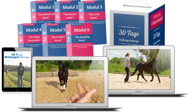 30 Tage Einfang Challenge – Videokurs für Pferdebesitzer 3 Laptop und Tablet-Mockup zeigen Module der 30 Tage Einfang Challenge mit Video-Inhalten von Pferdetraining