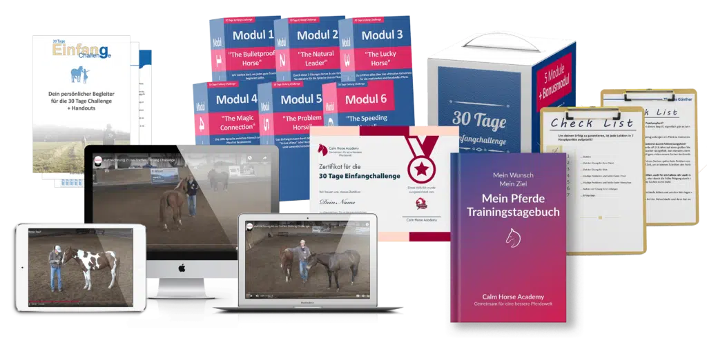 30 Tage Einfang Challenge – Videokurs für Pferdebesitzer 2 Mockup der 30 Tage Einfang Challenge mit sechs Modulen, Zertifikat, Trainingstagebuch und Video-Inhalten auf verschiedenen Ge