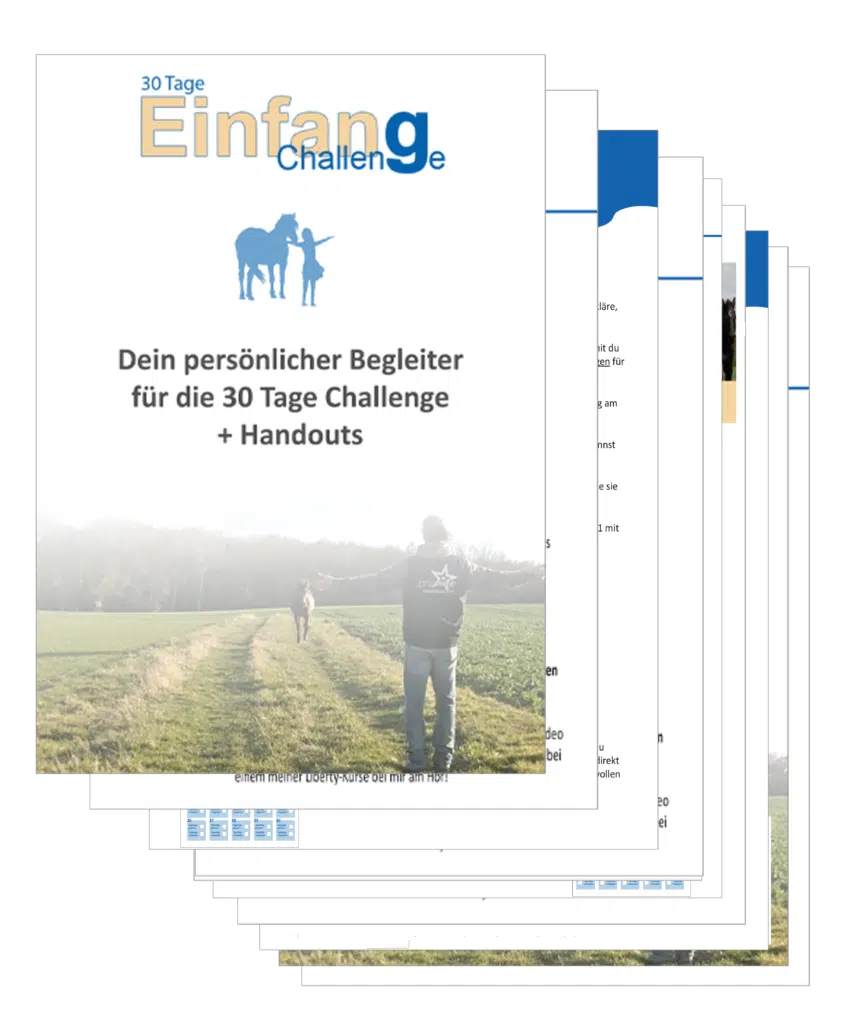 30 Tage Einfang Challenge – Videokurs für Pferdebesitzer 1 Cover der Handouts für die 30 Tage Einfang Challenge von Calm Horse Academy mit Person und Pferd auf grüner Wiese