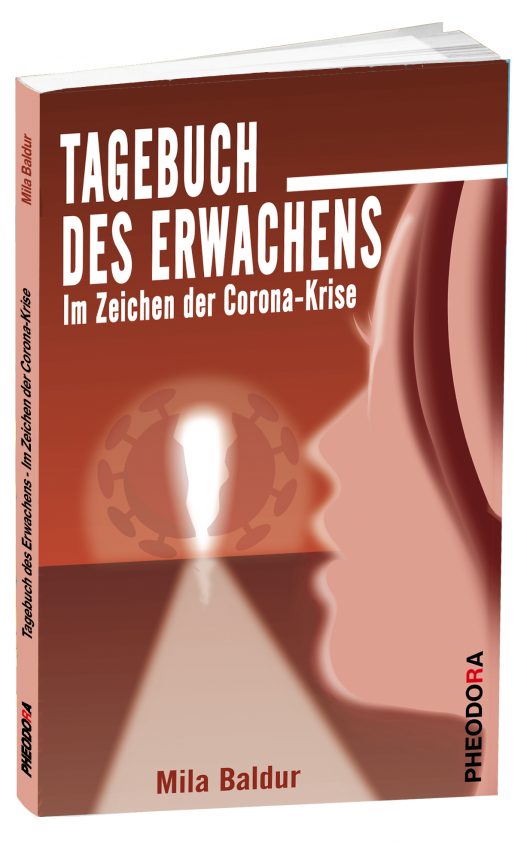 Buchcover Tagebuch des Erwachens mit abstraktem orangerot Motiv