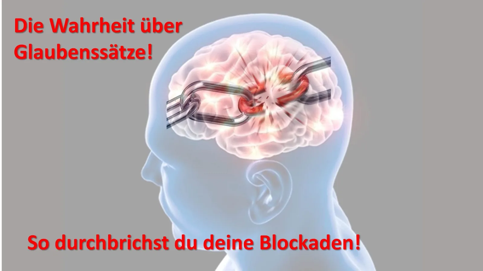 5-Schritte-Meditations-Videotraining 7 Gehirn-Illustration mit roten Nervenbahnen und Text über Glaubenssätze und Blockaden
