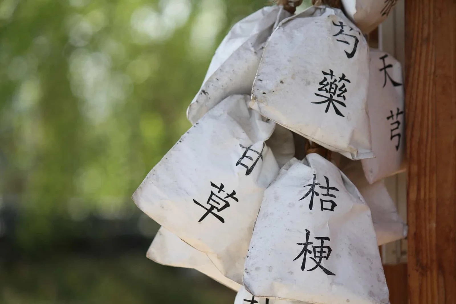 Japanische Wunschzettel mit chinesischen Schriftzeichen in Grünnatur-Setting