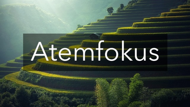 Reisfelder als Entspannungsmotiv für Audiokurs