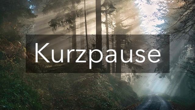 Wald als Entspannungsmotiv für Audiokurs