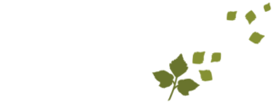 Abenteuer am Wegesrand OG