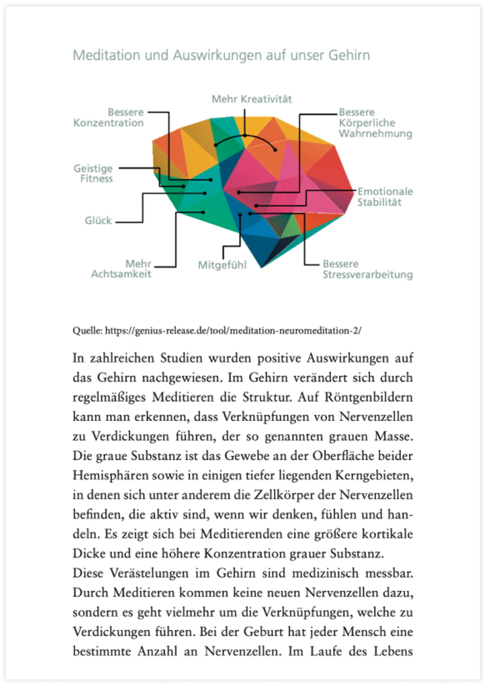 Infografik zeigt Meditationswirkungen auf das Gehirn mit farbigen Hirnregionen und Beschriftungen