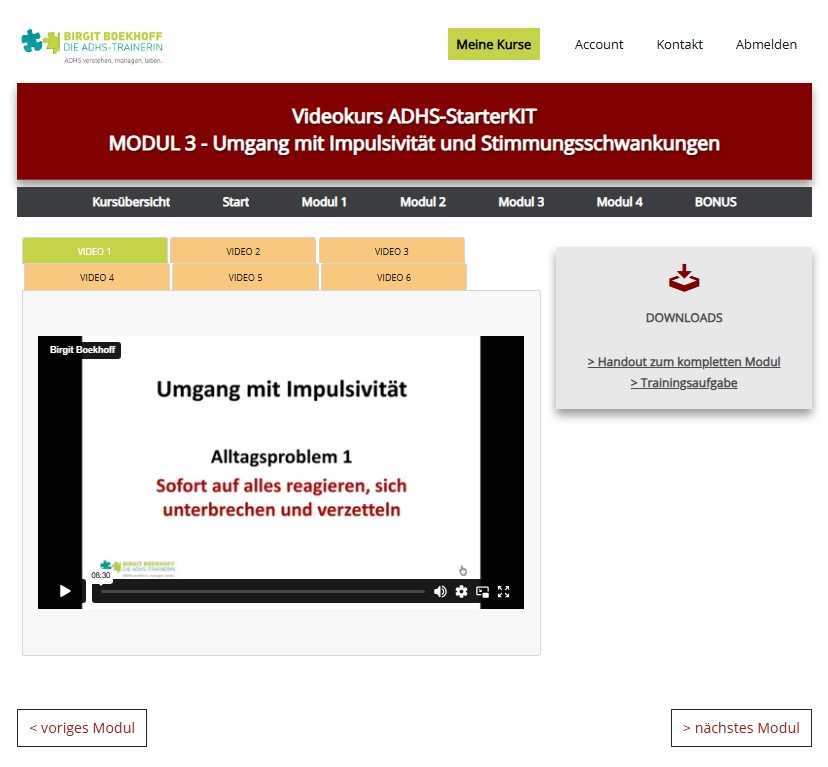 Modul 3 Seite des Videokurses mit Videoauswahl und Downloads