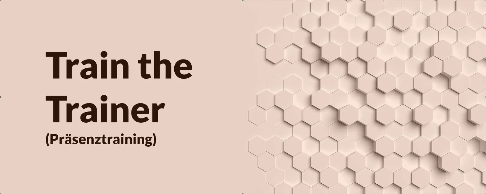 Beige Hexagon-Hintergrund mit Schriftzug "Train the Trainer (Präsenztraining)"
