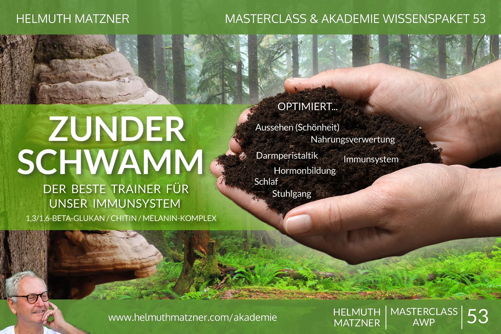Akademie-Grafik Zunderschwamm mit Hand, Wald und Optimierungs-Merkmalen
